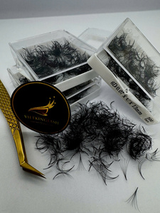 Extensions de cils pré-faites volume pour artistes, best-seller, haute qualité, cils individuels, courbure CC, longueurs mixtes - Product Image 4