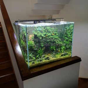 Ornement aquatique en bois flotté naturel pour reptiles et aquariums, décoration en bois classique, écologique, fabriqué au Vietnam - Product Image 3