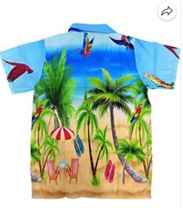 Chemise de luxe unie blanche pour homme – Idéale pour les réunions et événements professionnels – Chemise formelle classique à manches longues pour le bureau et le quotidien - Product Image 1