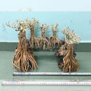 Top Produit Naturel Vietnamien Bois Flotté Aquarium Bonsaï Artificiel Corail Ornements Bonsaï Arbre Du Vietnam Pour Les Grossistes - Product Image 4