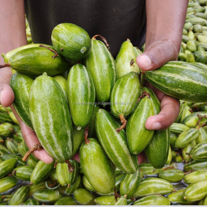 Calabaza Verde Fresca de Primera Calidad de Bangladesh, Calidad de Exportación, Proveedor Directo de Granja, Seis Estaciones, Agro - Product Image 6