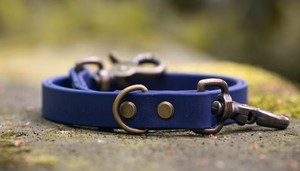 Premium Heavy Duty Eco-Friendly 100% Cotton <b>Dog</b> <b>Leash</b> with Animal Pattern Modern Style Bowknot Decoration - Product Image 2
