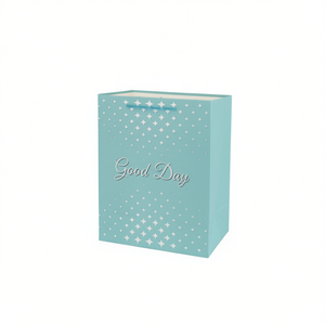 Bolsa de Regalo Elegante de 23*18*10 cm, Juego de Bolsas para Presentar sus Regalos - Product Image 1