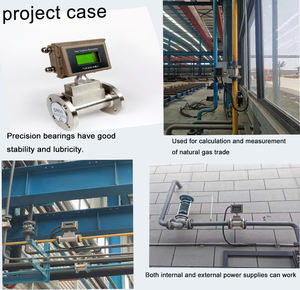 Dn80 Roestvrijstalen Industriële Gasturbine Stroommeter Propaan Butaan Stikstof Lucht Modbus Oem Ip65 Explosiebestendig +/-1.5% - Product Image 6