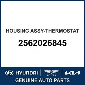 Termostatos y Carcasas Nuevas Accent 2562026845 - Product Image 1