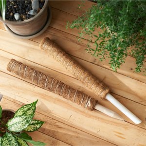 เสาค้ำต้นมะพร้าวราคาถูก ทำจากพีวีซี สำหรับสวนในบ้านและอุปกรณ์ทำฟาร์ม - Product Image 1
