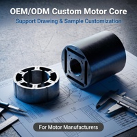 Fabricant de lames de stator et de rotor de moteur BLDC OEM, noyau de moteur personnalisé pour tondeuse à gazon robotisée