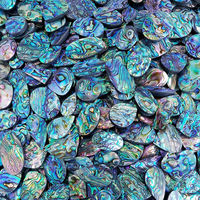Cabochon de pierres précieuses en coquille d'ormeau naturel de la meilleure qualité pour la fabrication de bijoux en Inde