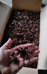 Canela en Tubos Enteros al Mejor Precio, Grado de Exportación OEM para Distribuidores - Product Image 2