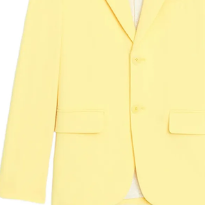Blazer sur mesure OEM pour femme grande taille, col cranté, deux boutons, jaune uni, manches longues, style bureau/sororité, vente en gros - Product Image 3
