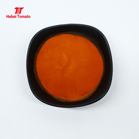 Poudre de tomate pure naturelle séchée par pulvérisation, sac de 25 kg, assaisonnement de tomate déshydratée, ketchup, pour la fabrication de pizzas, Halal, en vrac, usine Hebei Chine