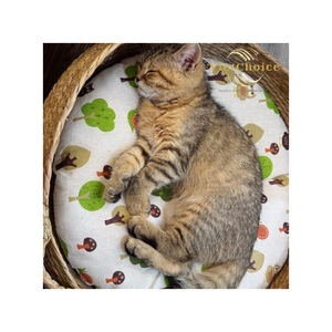 Cama para Gatos de Pasto Marino Natural, Tejida a Mano, Cesta de Descanso para Mascotas de Interior, Venta al Por Mayor - Product Image 6
