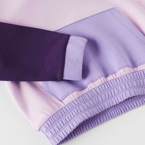 Nueva Sudadera con Capucha de Manga Larga para Niños, Modelo 2026, Forrada de Felpa 100% Algodón, para Invierno, con Servicio OEM - Product Image 6