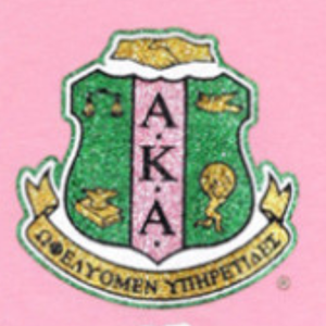 T-shirt col en V rose et vert AKA, pour femmes, style décontracté, coupe élégante, tissu doux, manches courtes, pour tous les jours - Product Image 3