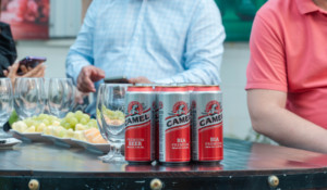 Paquete Variado de Cerveza Estilo Champagne Ligero de Alta Calidad, 4.5% Vol., Pasteurizada, Latas de 330 ml, Personalizable con Etiqueta Privada, Caja a Granel - Product Image 6