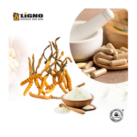 Poudre d'Ophiocordyceps Sinensis LiGNO OCS02 |   Ingrédient pour l'endurance et la performance |   Produits alimentaires santé séchés à froid |   Plantation Halal