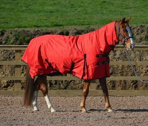 Couverture d'hiver de luxe pour chevaux Rip Stop 600d-350g, toutes tailles 5'3-7'0, avec sangles de fixation pour les jambes - Product Image 4