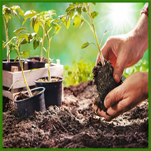 ผงมะพร้าวปลูกต้นมะพร้าวขนาดกลางเป็นมิตรกับสิ่งแวดล้อมการกักเก็บกักน้ำได้สูงสำหรับสวนภาชนะบรรจุไฮโดรโปนิกส์ - Product Image 5