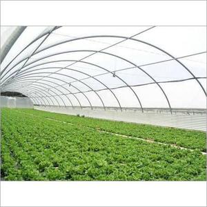 Serres agricoles professionnelles à simple travée Pingaksha, en acier galvanisé avec couverture en film, pour usage en ferme et pépinière, qualité export - Product Image 4