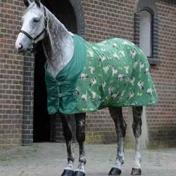 Manta de Invierno para Caballos de Alta Calidad, Rellena de Algodón, Duradera, Aislante, Protección para Exteriores, Fabricada en Pakistán - Product Image 6