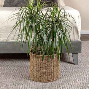 Cesta Redonda de Seagrass con Asas, Cesta de Almacenamiento Hecha a Mano, Ecológica, Venta al Por Mayor, Hecha en Vietnam - Product Image 2