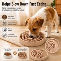 Gamelle anti-glouton en silicone pour chien avec tapis à lécher 2-en-1, gamelle d'enrichissement pour animaux pour aliments secs et humides, logo personnalisé, fournitures pour animaux de compagnie en gros