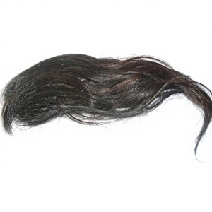 Cepillo de Pelo de Caballo Natural 100% Original de la Mejor Calidad, Líquido, para Exportación, Marca B.S INTERNATIONAL - Product Image 3