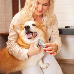 Cortauñas para Mascotas de Acero Inoxidable, Juego de Cortauñas para Perros y Gatos, Cortauñas Resistentes con Cuchilla Afilada y los Mejores Instrumentos - Product Image 5