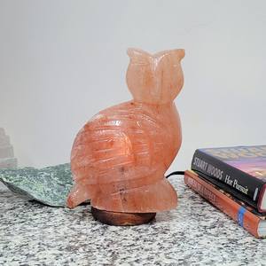 <b>Himalayan</b> <b>Rock</b> <b>Salt</b> Owl <b>Lamp</b> Natural Pink <b>Salt</b> Animal Light Modern Design Fire Resistant for Living Room & Kitchen - Product Image 4