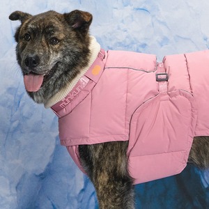 [MUNIKUND] Thermal Up Padding Air 2 Dog <b>Jacket</b> Waterproof Vegan Down Winter Coat Padded Pet Wear for Wholesale - Product Image 1