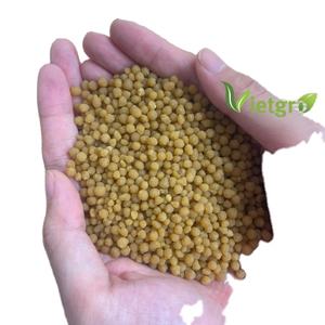 VGFERT DAP 18-46: Affordable Yellow Granular Fertilizer from Vietnam - Product Image 1