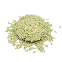 Semillas de Pepino BCA 100% Originales F1, Producto Premium de Alta Calidad, el Más Vendido de Indonesia Jember, 6 Meses de Vida Útil, Listo para Plantar