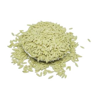 Semillas de Pepino BCA F1 de Alta Calidad, Producto Premium, el Más Vendido de Indonesia, 6 Meses de Vida Útil, Listo para Plantar - Product Image 3