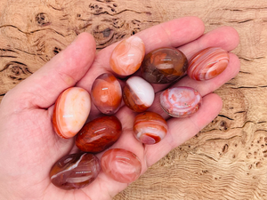 Piedra Preciosa de Cornalina Roja de Primera Calidad, 20-30 mm, Tallada, Feng Shui, Reiki, Mascota, Piedras Pulidas de Gujarat Aashim Agate - Product Image 6