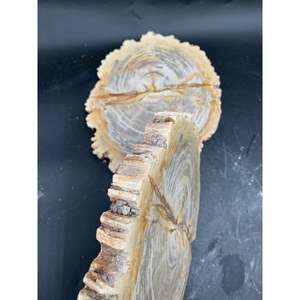 Tranche de bois pétrifié naturel indonésien 25x25x2 cm, bois poli, décoration et plaque de collection - Product Image 2