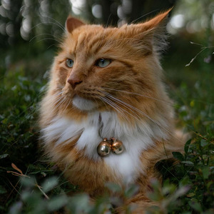 Clochettes pour chats et chiens de qualité supérieure en cuivre, 2 clochettes extra fortes, pour protéger les oiseaux et la faune, en cuivre fait main - Product Image 3