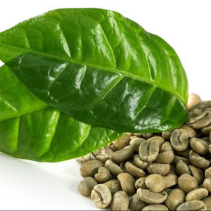 Café du Vietnam certifié USDA, spécialité Arabica, grains verts taille 16, grade G1/G2, brisures noires 0,1%, marque TNFOOD, origine Lam Dong - Product Image 1