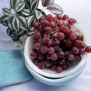 ชามสลัดเรซิ่นดีไซน์ใหม่รักษ์โลก สีสันสวยงาม ปรับแต่งสไตล์ได้ เหมาะสำหรับชุดอาหารเย็นและผลไม้ ปลอดภัย ทุกสไตล์มีจำหน่าย - Product Image 3