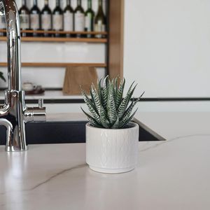 Vaso in Ceramica da 6,7 Pollici ad Alto Potenziale Decorativo per Casa, Ufficio, Scrivania, Bagno, Scaffale Boho - Pianta Artificiale di Aloe Succulenta - Product Image 5