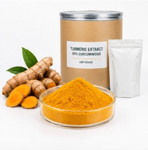 Extracto de Cúrcuma 95% Curcuminoides Grado USP |   Extracto de Curcumina de Alta Pureza - Product Image 2
