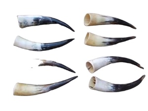 Cuerno de Cerveza Vikingo Hecho a Mano, Estilo Ángel, Impermeable, Cuerno Natural Pulido para Hidromiel y Cerveza - Product Image 5