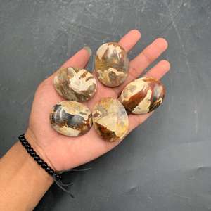 Piedra de Palma de Madera Petrificada Natural Premium 45x35x15 mm – Piedra Decorativa Pulida para Colección y Exhibición - Product Image 4