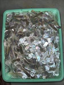 Mother of Pearl Caviar Plate and Spoon Set Handmade Natural <b>Shell</b> Serving Dish with Spoon Luxury Tableware for Restaurant - Product Image 2