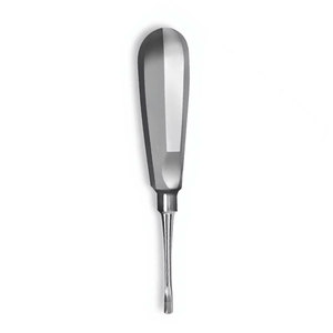 Elevador Apical Recto de 6 Pulgadas # Instrumento de Extracción Dental Manual de Acero Inoxidable 301 para la Eliminación de Raíces de Dientes - Product Image 5