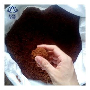 Material Superior: Ladrillo de Fibra de Coco (Coir) Limpio y Lavado, Ideal para Sistemas Hidropónicos y Germinación de Semillas - Product Image 4