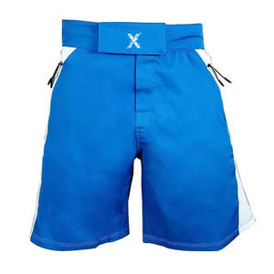 Shorts MMA en tissu extensible léger et robuste, idéal pour l'entraînement en salle de sport, les arts martiaux et les activités sportives. - Product Image 1