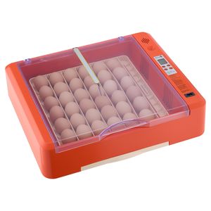 Incubateur 36 œufs avec ovoscope LED, bac à eau automatique, contrôle de la température et de l'humidité, vue à 360 degrés, produit clair et visible - Product Image 1