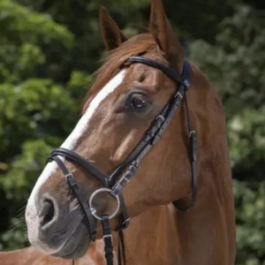 บิตสำหรับขี่ม้า ALR EQUESTRIANS แบบสั่งทำพิเศษ พร้อมโลโก้  ทำจากหนังแท้คุณภาพสูง ทนทาน เหมาะสำหรับกีฬาขี่ม้าแบบตะวันตก ปรับขนาดได้ - Product Image 2