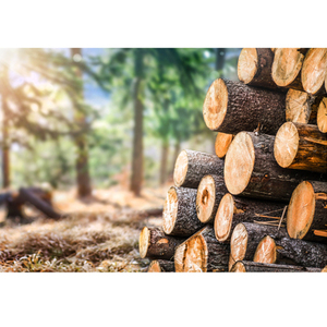 Cheapest Kiln Dried Quality Firewood/Oak Firewood <b>Logs</b> Wood Ply Wood Hard Wood Certificate - Product Image 5