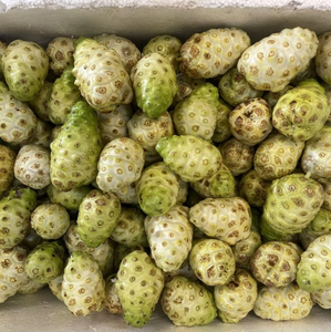 Fruta de Noni para la Salud y Uso Herbal – Alta Calidad, 100% Natural // Mr.Tom - Product Image 1